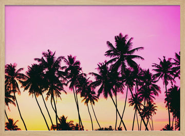 Pink Sky Palm Trees | Poster - Wood Frame Interior