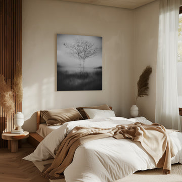 Misty Birch Reflection | Canvas - Room Interior 2
