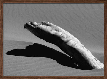 Desert Driftwood Shadow | Poster - Walnut Frame Interior
