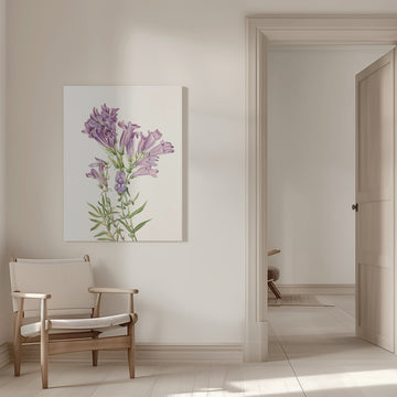 Purple Penstemon From North American Wildflowers (1925) By Mary Vaux Walcott | Canvas - Room Interior 1