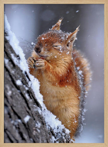 Happy Winter Squirrel | Poster - Wood Frame Interior