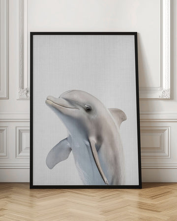 Friendly Dolphin Portrait | Poster - Room Interior 1