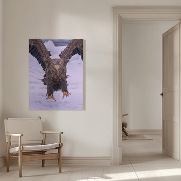 Powerful Eagle Winter Landing | Canvas - Room Interior 1