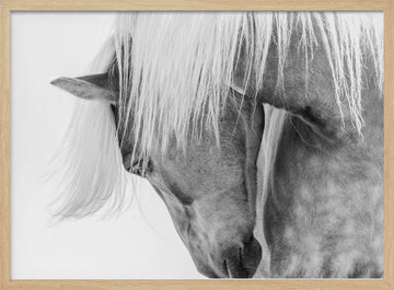 Serene Horse Portrait | Poster - Wood Frame Interior