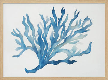 Blue Coral | Poster - Wood Frame Interior