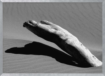 Desert Driftwood Shadow | Poster - Silver Frame Interior