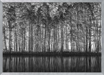 Black White Forest Reflections | Poster - Silver Frame Interior