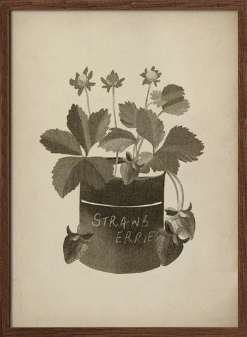 Vintage Strawberry Illustration | Poster - Walnut Frame Interior
