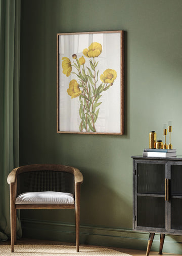 Bushpoppy From North American Wildflowers (1925) By Mary Vaux Walcott | Poster - Room Interior 2