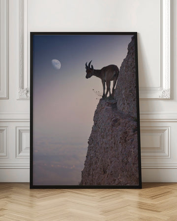 Mountain Goat Moonrise | Poster - Room Interior 1