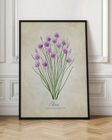 Fresh Chives Bloom | Poster - Room Interior 1