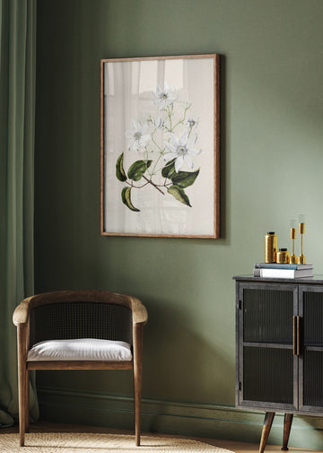 Puawananga   Clematis Indivisa Drawn By Sarah Featon (1848–1927) | Poster - Room Interior 2