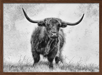 Majestic Highland Cow | Poster - Walnut Frame Interior