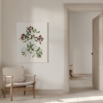 Maire Tawake Drawn By Sarah Featon(1848   1927) | Canvas - Room Interior 1