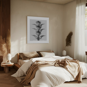 Acanthus mollis | Canvas - Room Interior 2