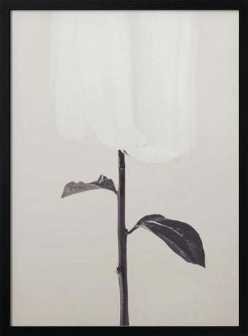 Ethereal Fabric Flower | Poster - Black Metal Frame Interior
