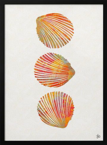 Vibrant Seashells | Poster - Black Metal Frame Interior