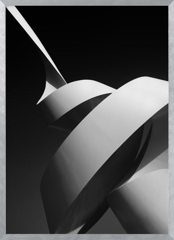 Modern Abstract Curves | Poster - Silver Frame Interior