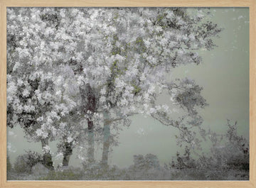 Spring | Poster - Wood Frame Interior