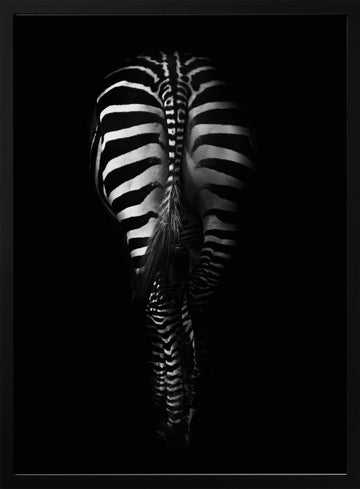 Dark Zebra Stripes | Poster - Black Metal Frame Interior