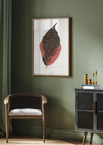 Acalypha Tricolor Leaf Illustration | Poster - Room Interior 2