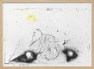 Mysterious Beaked Figure | Poster - Wood Frame Interior