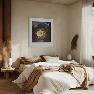 The Night–Blowing Cereus from The Temple of Flora (1807) | Canvas - Room Interior 2