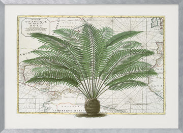 Vintage Palm Atlas | Poster - Silver Frame Interior