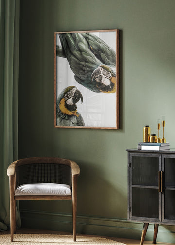 Vibrant Parrot Duo | Poster - Room Interior 2