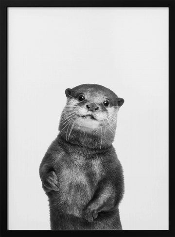 Otter | Poster - Black Metal Frame Interior