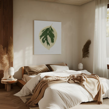 Hydrangea Japonica Variegata Leaf Illustration | Canvas - Room Interior 2