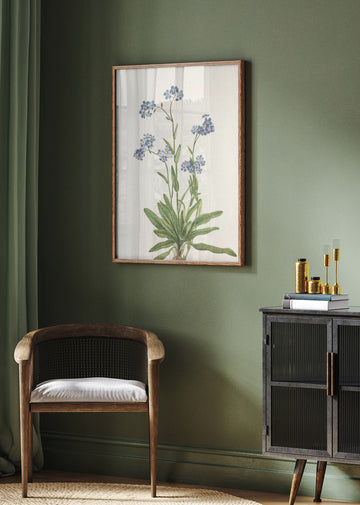 Alpine Forget Me Not From North American Wildflowers (1925) By Mary Vaux Walcott | Poster - Room Interior 2