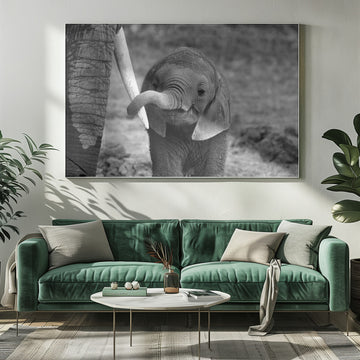 Curious Baby Elephant | Poster - Room Interior 1