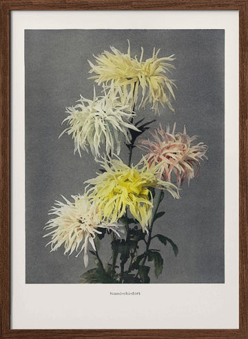 Nami–chi–dori | Poster - Walnut Frame Interior