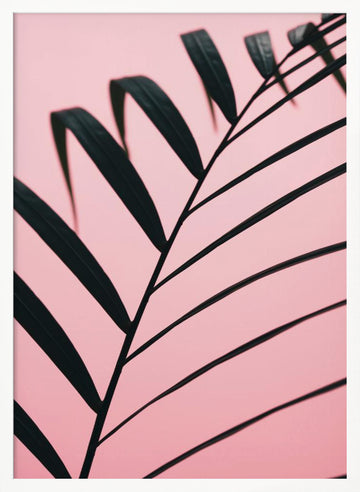 Pink Palm Leaf | Poster - White Frame Interior