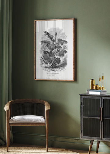 Vintage Palm Tree Drawing Xii | Poster - Room Interior 2