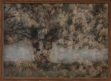 Pine tree | Poster - Walnut Frame Interior