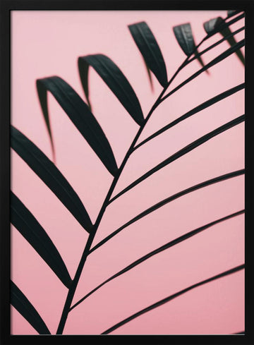 Pink Palm Leaf | Poster - Black Metal Frame Interior