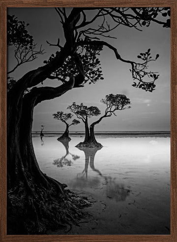 Moody Mangrove Landscape | Poster - Walnut Frame Interior