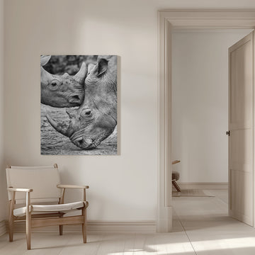 Rhino Tenderness | Canvas - Room Interior 1