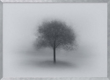 Misty Solitary Tree | Poster - Silver Frame Interior