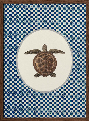 Shibori Sea Turtle | Poster - Walnut Frame Interior