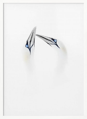 Serene Bird Connection | Poster - White Frame Interior