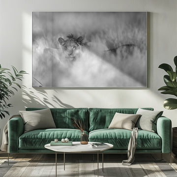 Hidden Lion Gaze | Poster - Room Interior 1