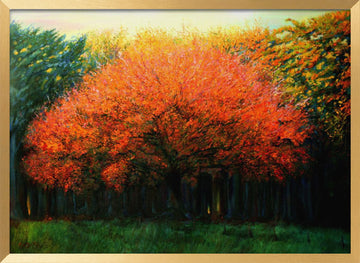 Vibrant Fall Tree | Poster - Gold Frame Interior