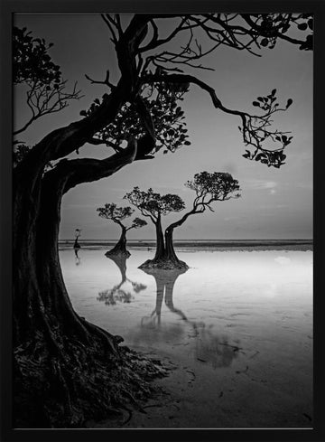 Moody Mangrove Landscape | Poster - Black Metal Frame Interior