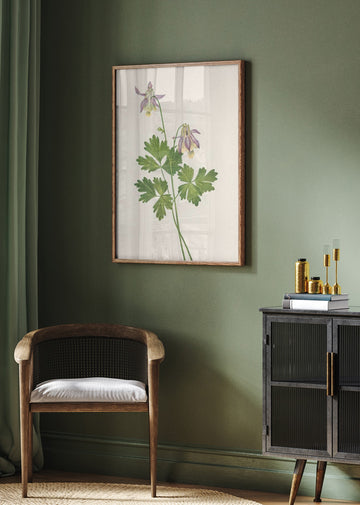 Shortspur Columbine From North American Wildflowers (1925) By Mary Vaux Walcott | Poster - Room Interior 2