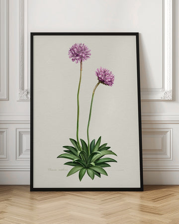 Purple Botanical Bloom | Poster - Room Interior 1