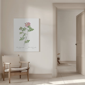 Sweetbriar, Les Roses (1817–1824) | Canvas - Room Interior 1