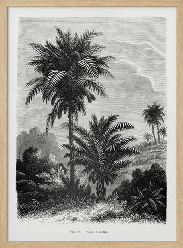 Vintage Palm Tree Drawing V | Poster - Wood Frame Interior